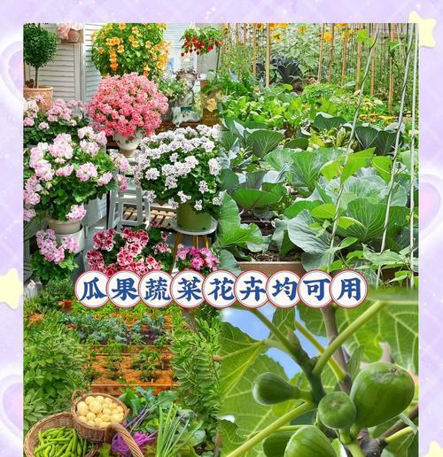 花卉的定义是什么？花卉在园艺中扮演什么角色？