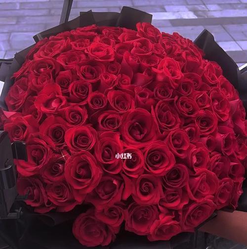 玫瑰在英格兰代表什么花语？英格兰的玫瑰花语有何特别含义？