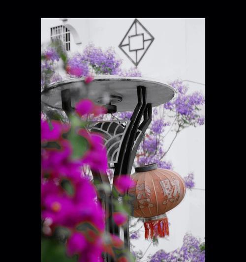 西昌的市花是什么？西昌市花的文化意义和象征是什么？