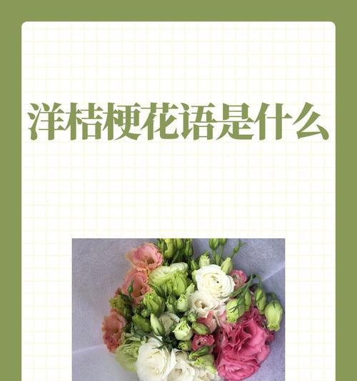 桔梗花的花语是什么？它与玫瑰有何不同？