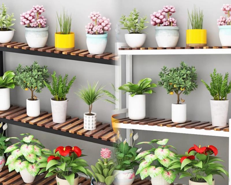 室内种植花卉的推荐和养护技巧是什么？