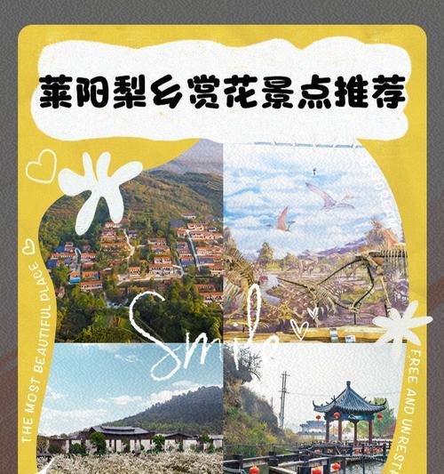 梨花语景区有什么景点？这些景点在花语中代表了什么？