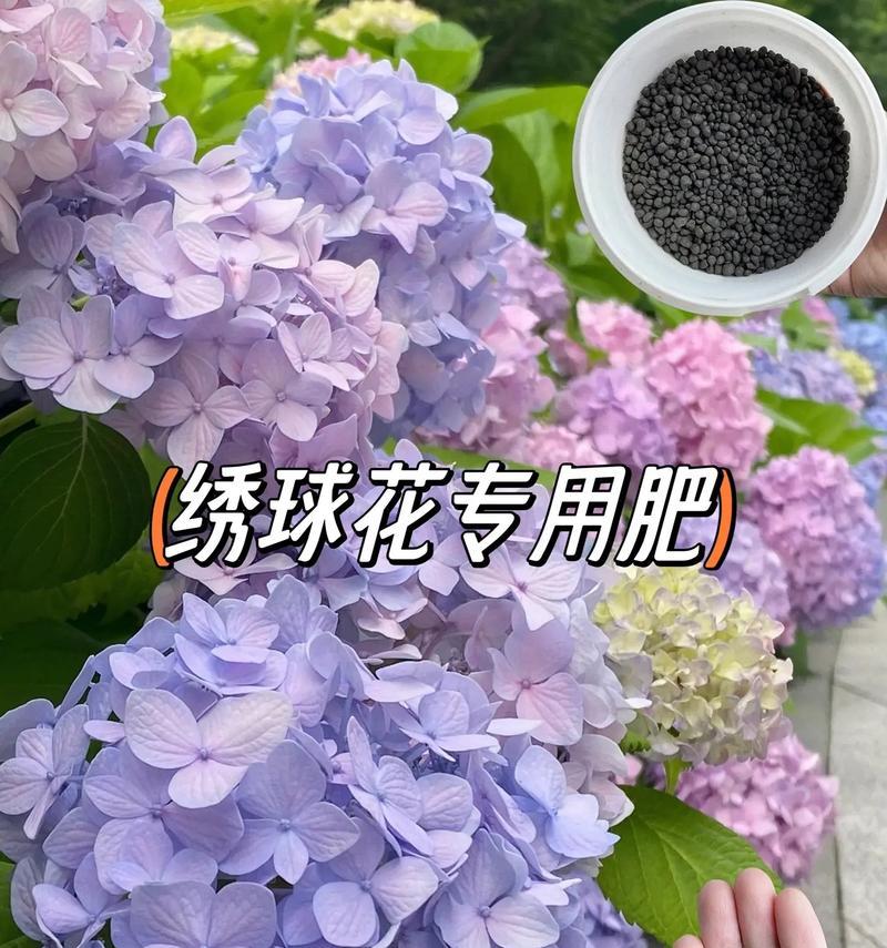 花用什么肥料好？不同种类的花卉如何选择合适的肥料？