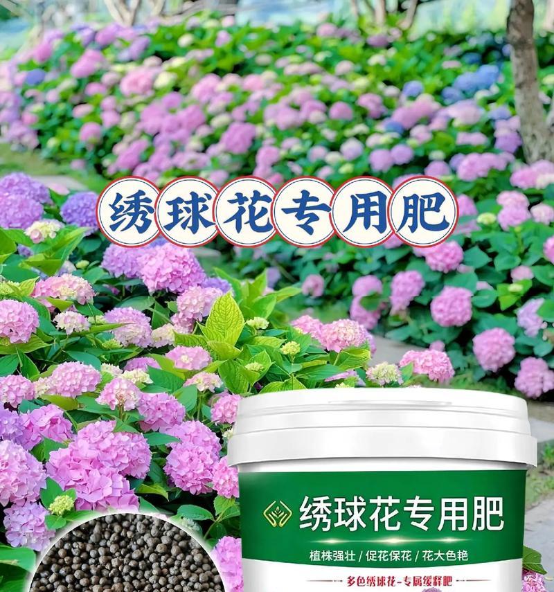 花用什么肥料好？不同种类的花卉如何选择合适的肥料？