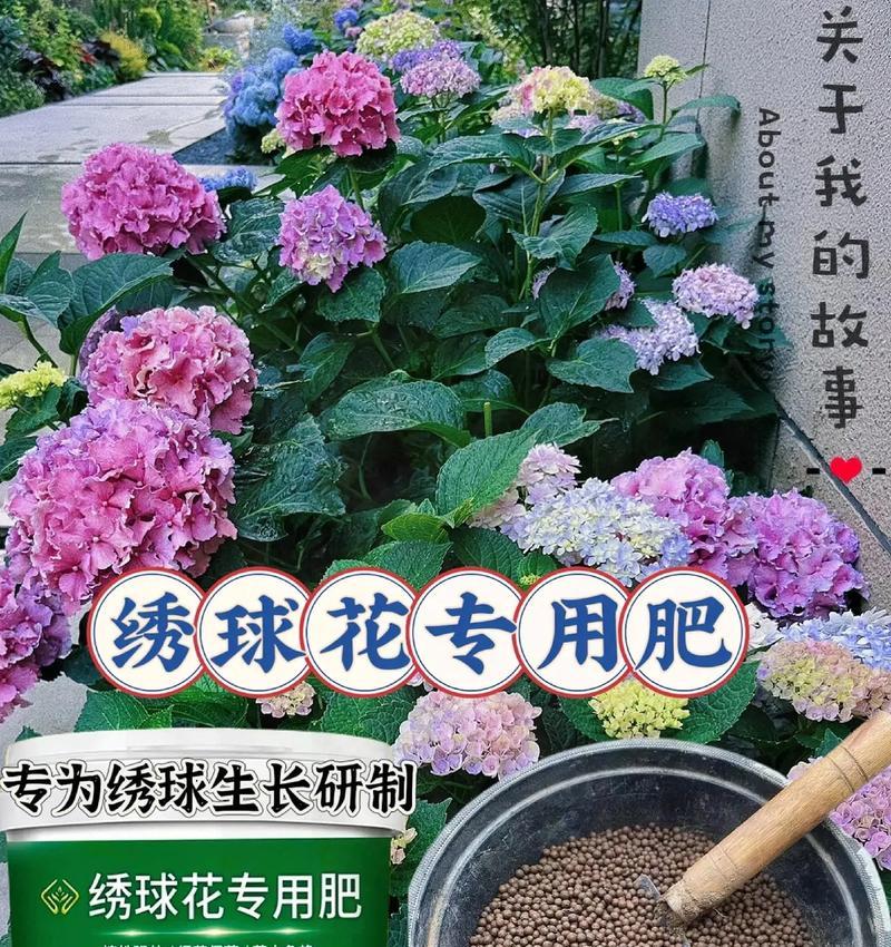 花用什么肥料好？不同种类的花卉如何选择合适的肥料？