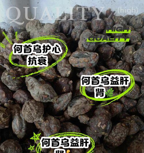 何首乌花的外观特征是什么？何首乌花的识别方法有哪些？