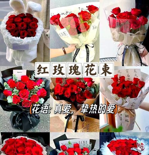 520应该送哪种玫瑰花给女生？玫瑰花的花语有哪些选择？