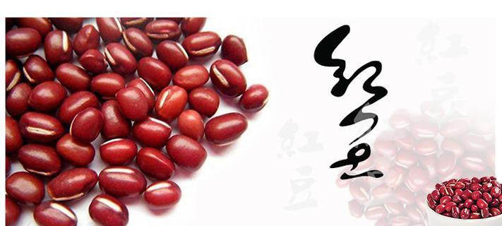 红小豆花束的花语有何深意？