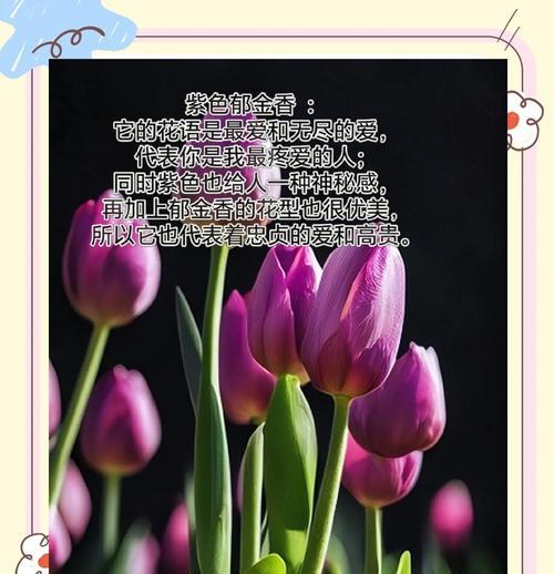清纯和纯洁的花语是什么？哪种花象征着纯洁无暇？