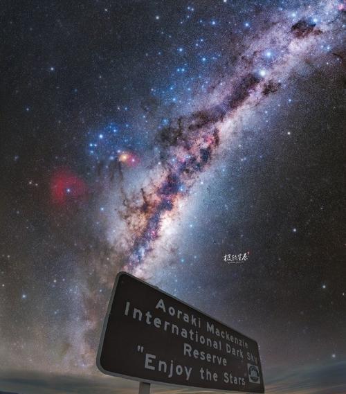 星空花语代表的纯真含义是什么？