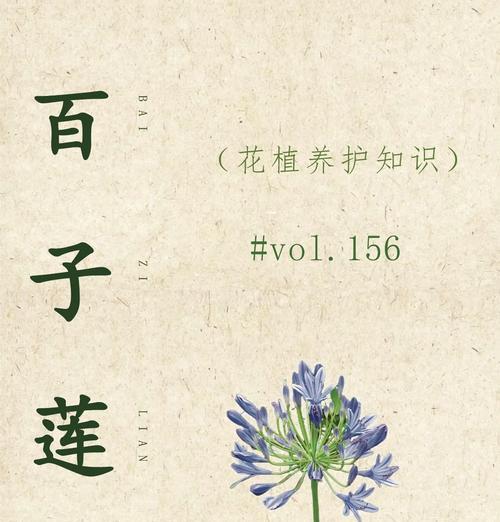 表白时选择哪种花语最合适？花语如何表达爱意？