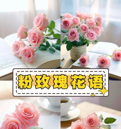 表白时选择哪种花语最合适？花语如何表达爱意？