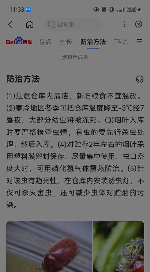 榆树上的虫子怎么处理？有哪些有效的方法？