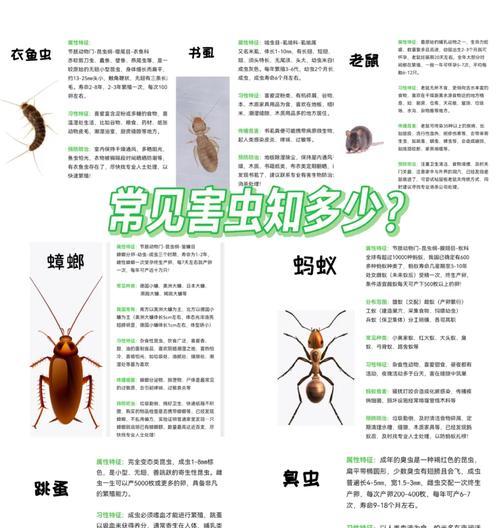 榆树上的虫子怎么处理？有哪些有效的方法？