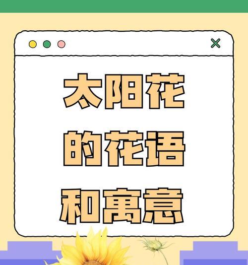 玉髓花的花语和寓意是什么？