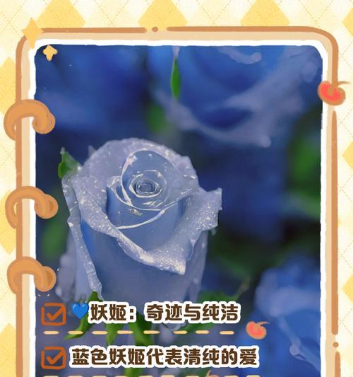 苍月草花语是什么blue？苍月草的蓝色花语有何深意？
