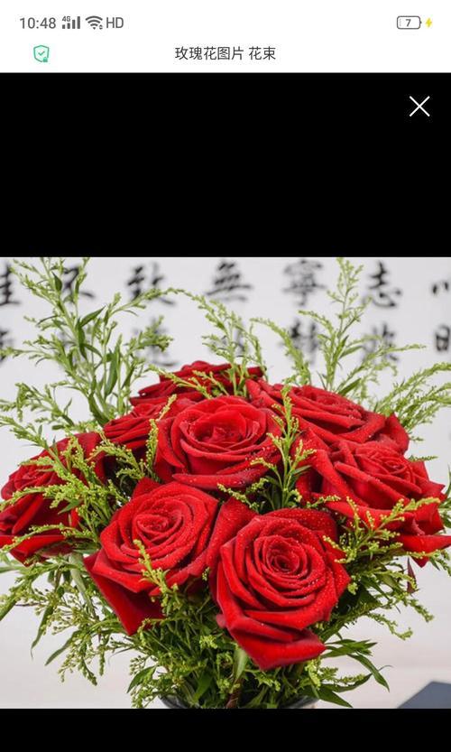 玫瑰花刺有何花语？它象征着什么？