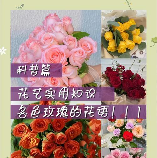 玫瑰花刺有何花语？它象征着什么？