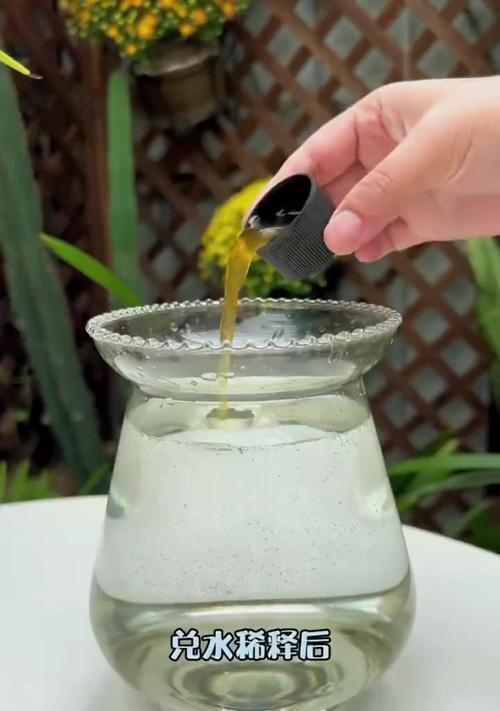 兰花水浇多了怎么处理？有哪些补救措施？