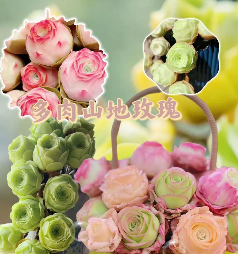 玫瑰花永不过时的花语是什么？