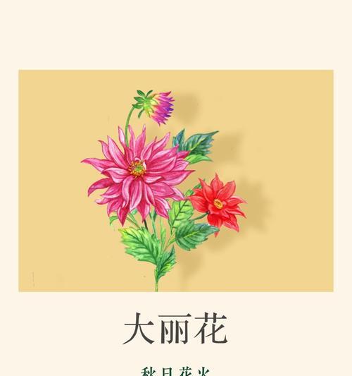 大丽花怎么画？绘制大丽花的基本步骤和技巧？