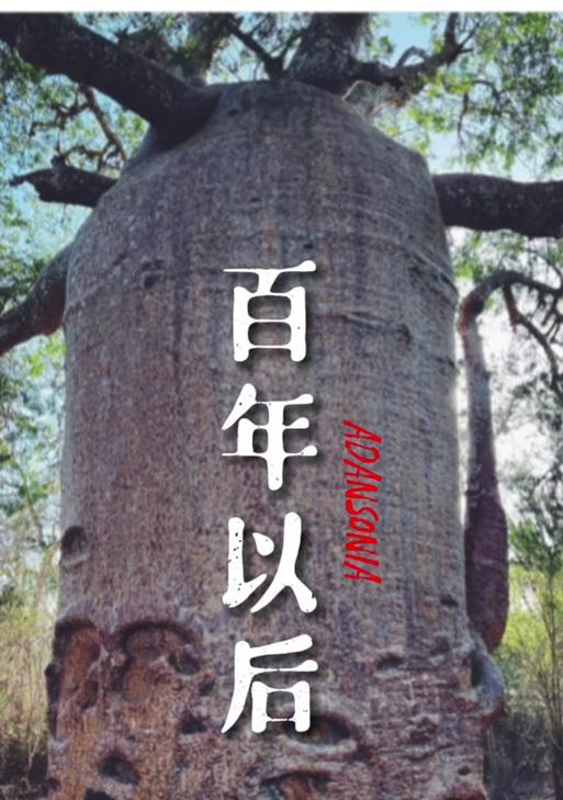 面包树的花语象征与寓意是什么？它们代表了哪些意义？