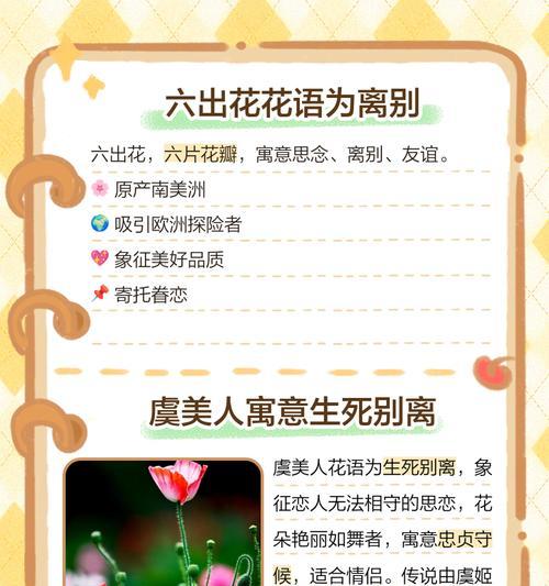 哪种花代表思念？它的花语是什么？