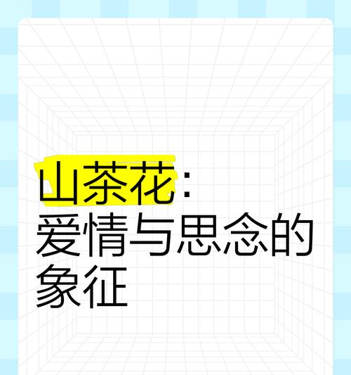 哪种花代表思念？它的花语是什么？