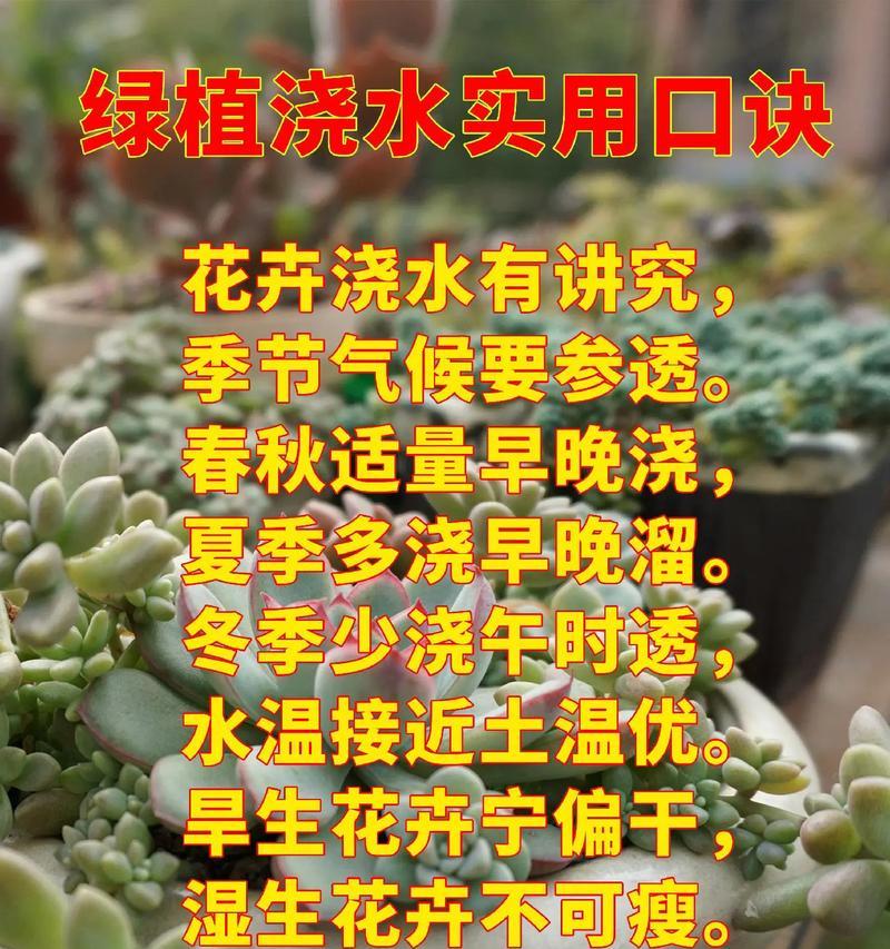 花种怎么种植？播种时应注意哪些要点？