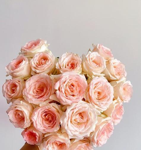 小白兔花束的花语代表什么？