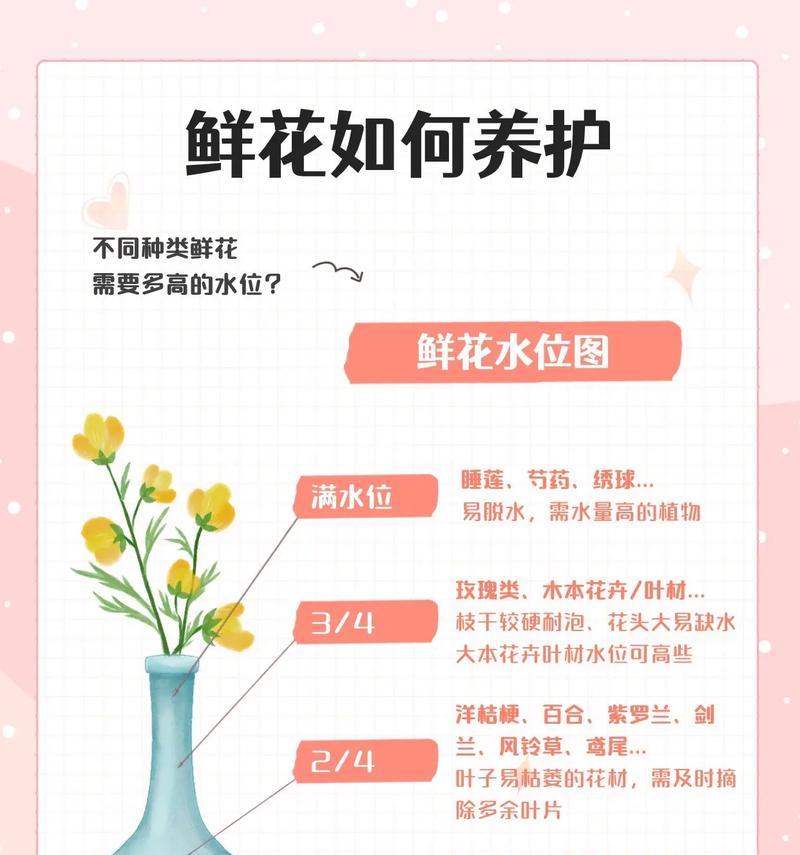 宿根花卉的特点是什么？如何正确养护？