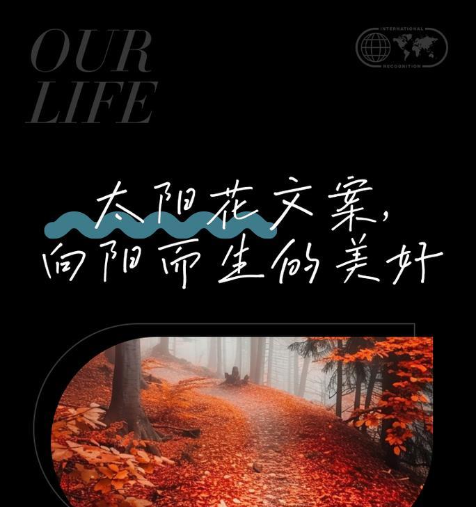 带来爱和光的花语是什么？哪种花象征着爱与光明？