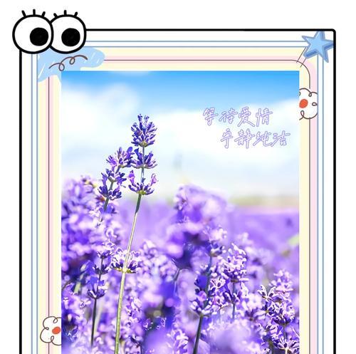 紫色紫荆花的花语是什么？它象征着什么？
