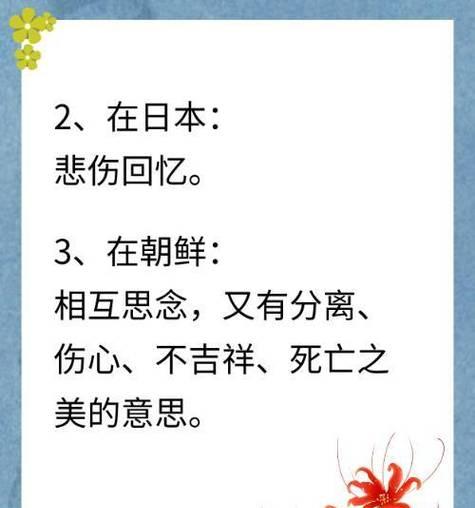 我的好友对应的花语是什么花？