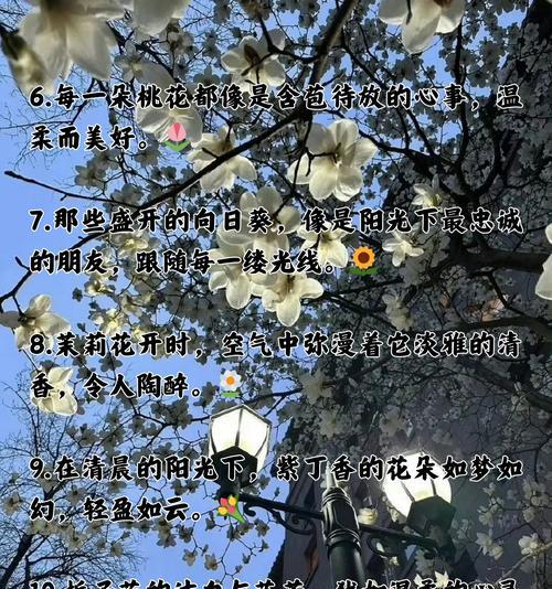 夏日花语有哪些特别含义？