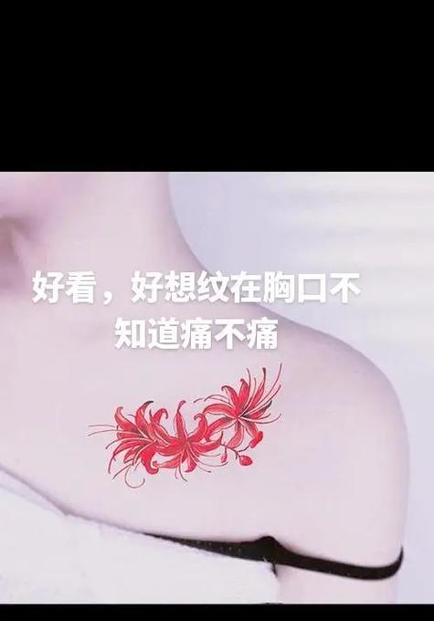 心疼她的花语是什么？表达心疼的花语有哪些？