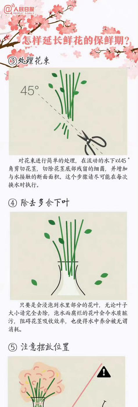 心疼她的花语是什么？表达心疼的花语有哪些？