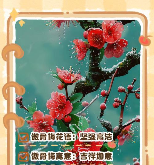 梅花的简介和花语是什么？