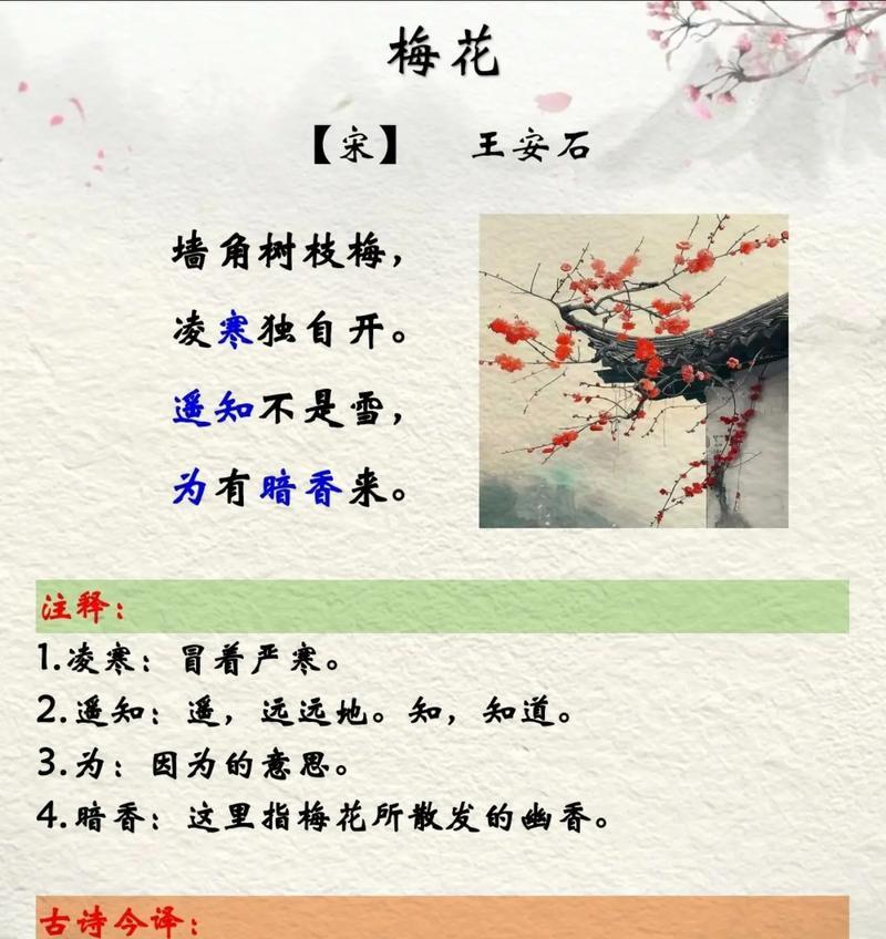 梅花的简介和花语是什么？