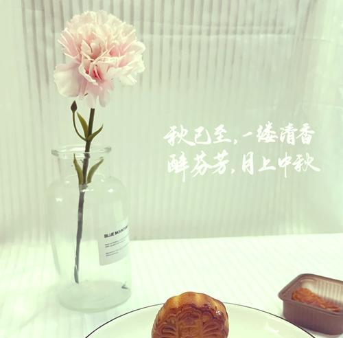 稻香村月饼的花语是什么？月饼与花语有何联系？