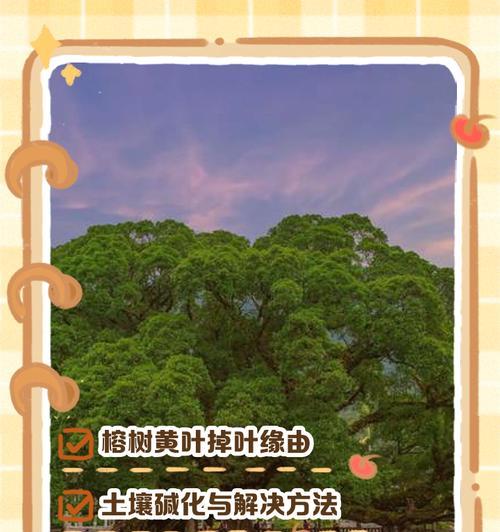 植物黄叶怎么处理？黄叶的原因及解决办法是什么？