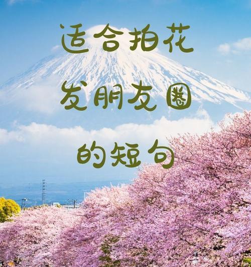 花开蝶自来的花语是什么？这种花象征着什么？