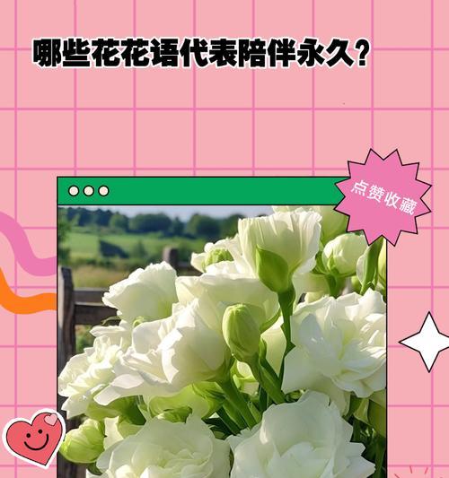 花语寓意长长久久的花是什么？你知道它是什么吗？