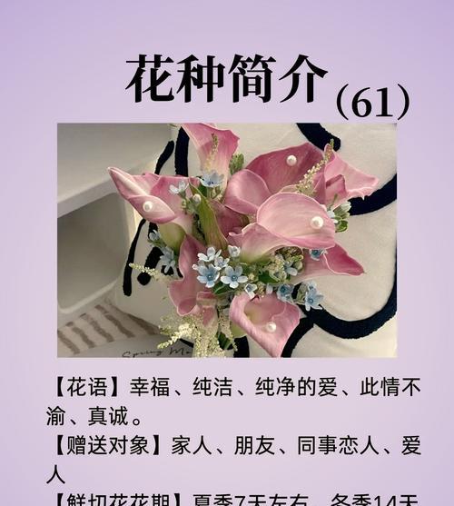 哪种花的花语是“只属于你的爱”？它代表了怎样的情感？