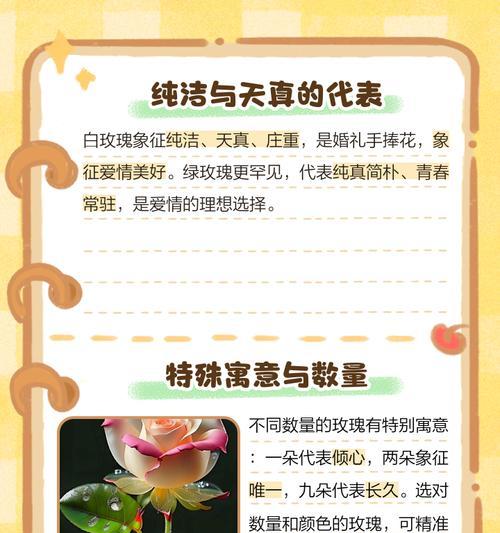 三片花瓣玫瑰花语寓意是什么？它有什么特别含义？