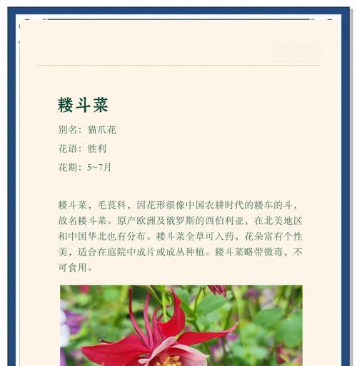 哪种花象征着胜利？