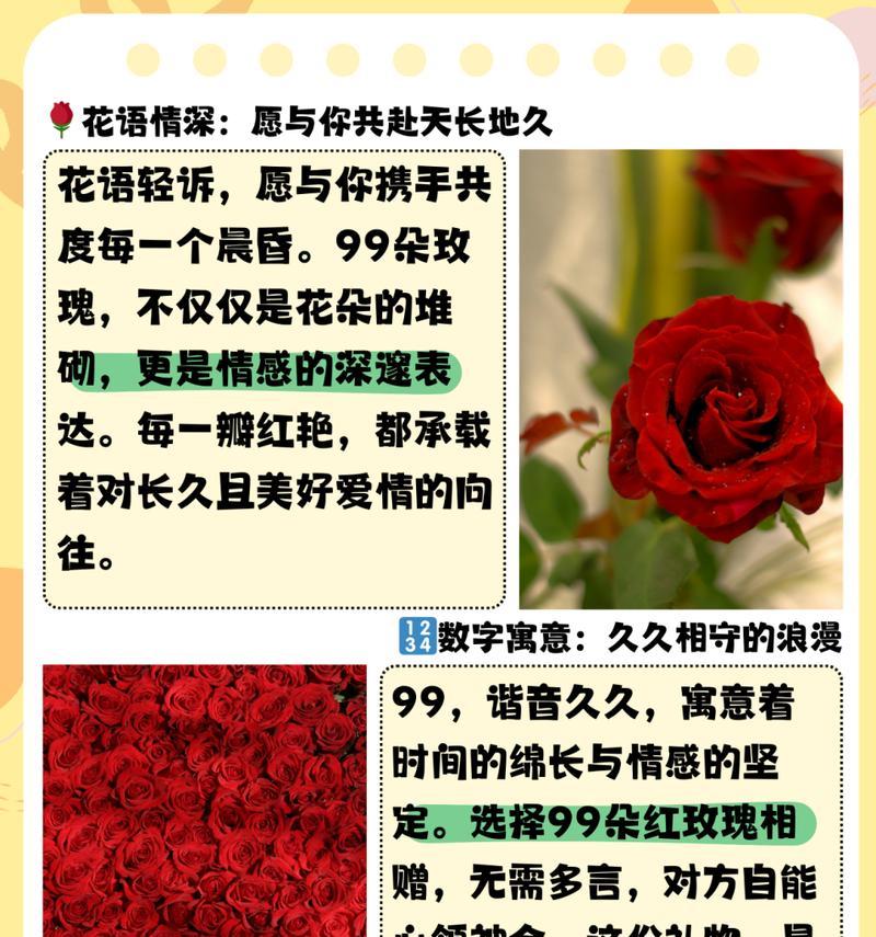 22朵红玫瑰的花语有何特别含义？