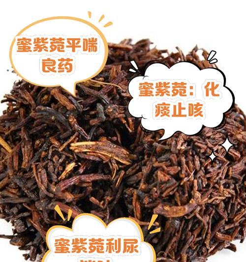 夕阳紫苑的花语寓意有哪些？它象征着什么？
