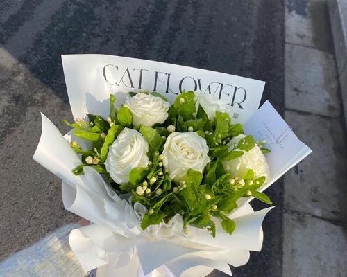 生日送茉莉花代表什么意义？