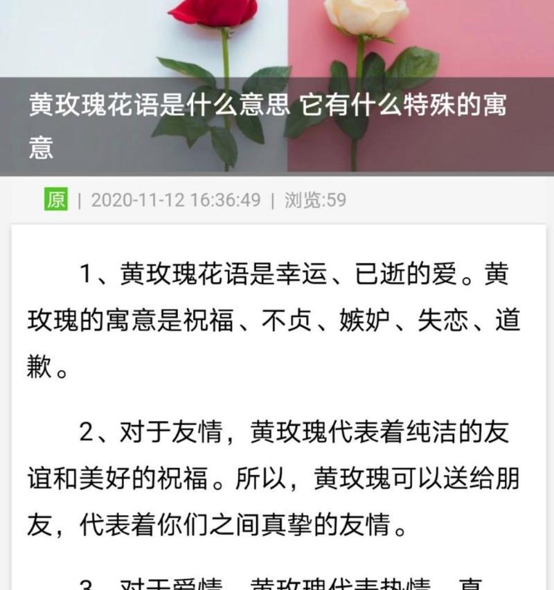 遥不可及的玫瑰花语是什么意思？